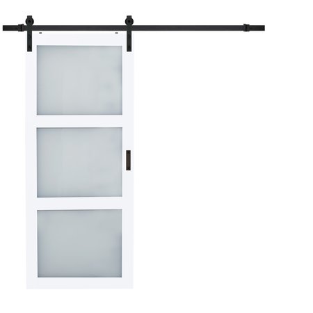 RENIN Renin 36 in. x 84 in. Hall 3-Lite Complete Barn Door Kit BD061W01BW3TGE36084